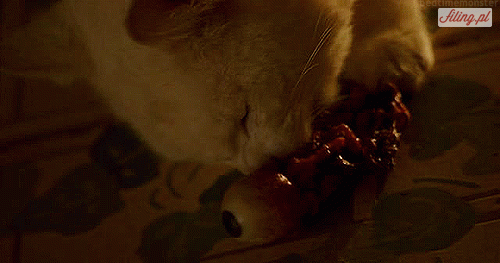 filing_images_c1e8c874a57a.gif