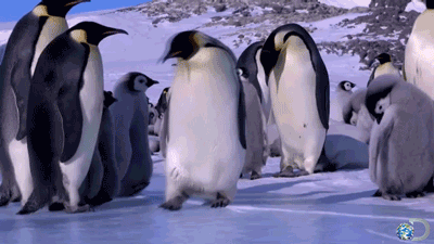 filing_images_5bb0fa9479a2.gif