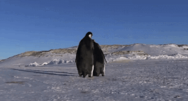 filing_images_7a8e954f9484.gif