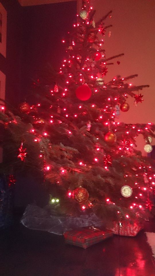 Kamila Kubacka - jestę prezentę