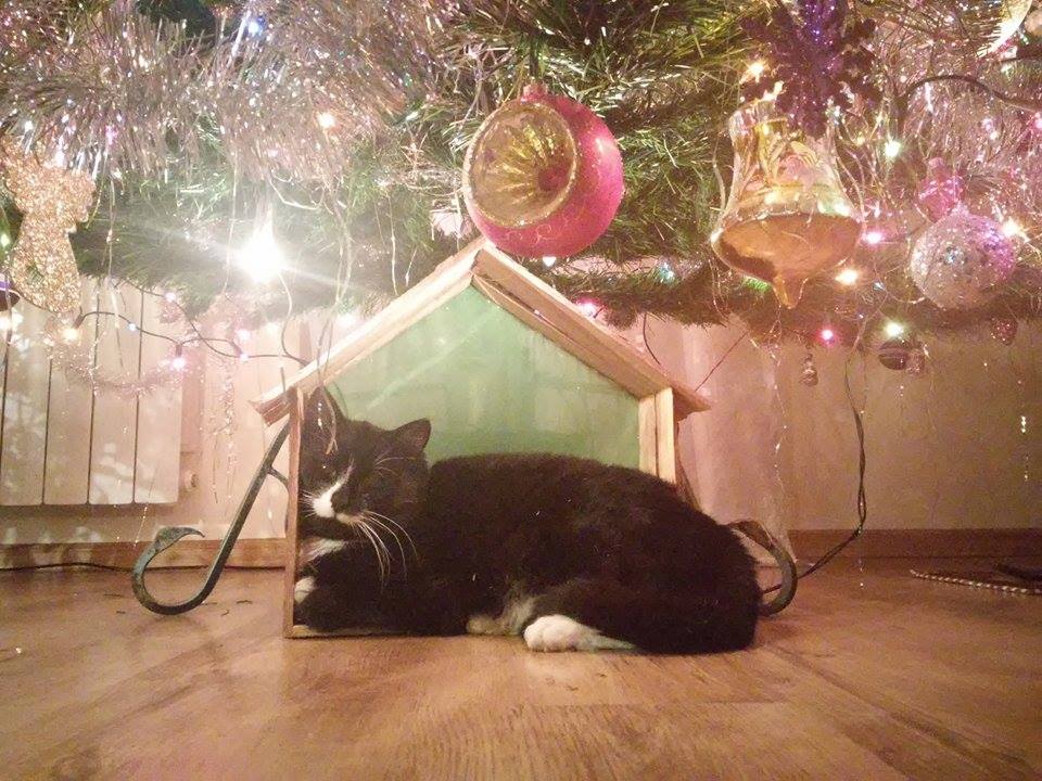 Aleksandra Delążek - juz nie potrzebujemy figurek do szopki