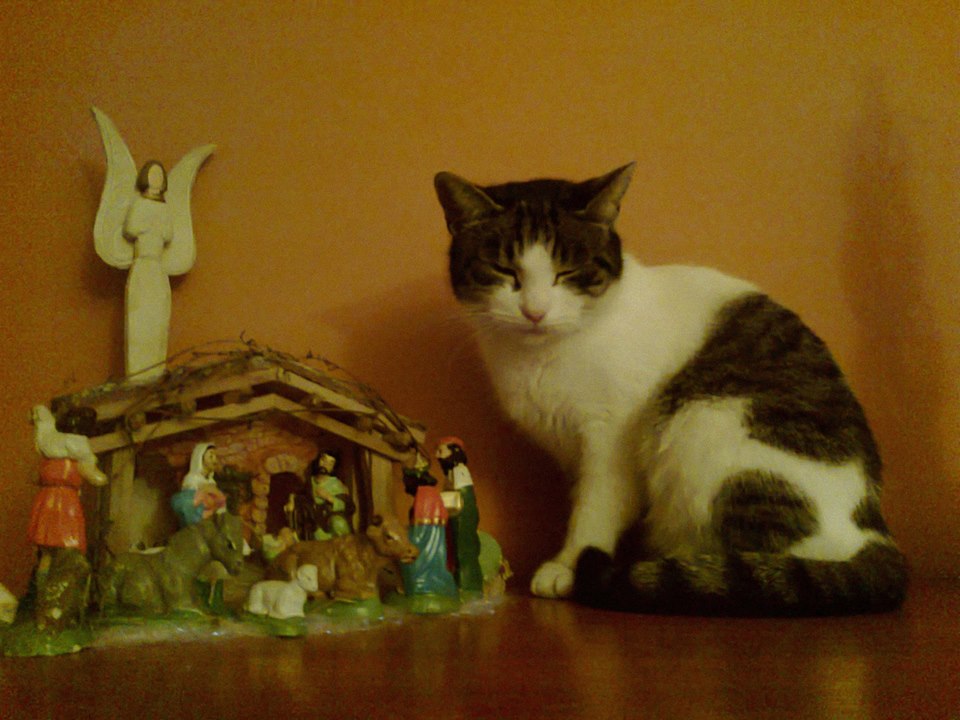 Bartek Na głowie sobie tę szkopkę postaw, ja chcę się położyć