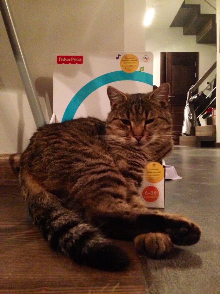 Mil Świąteczna limitowana edycja fisher price