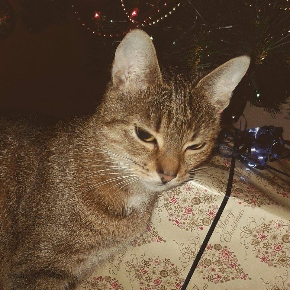 Weronika Kaźmierczak