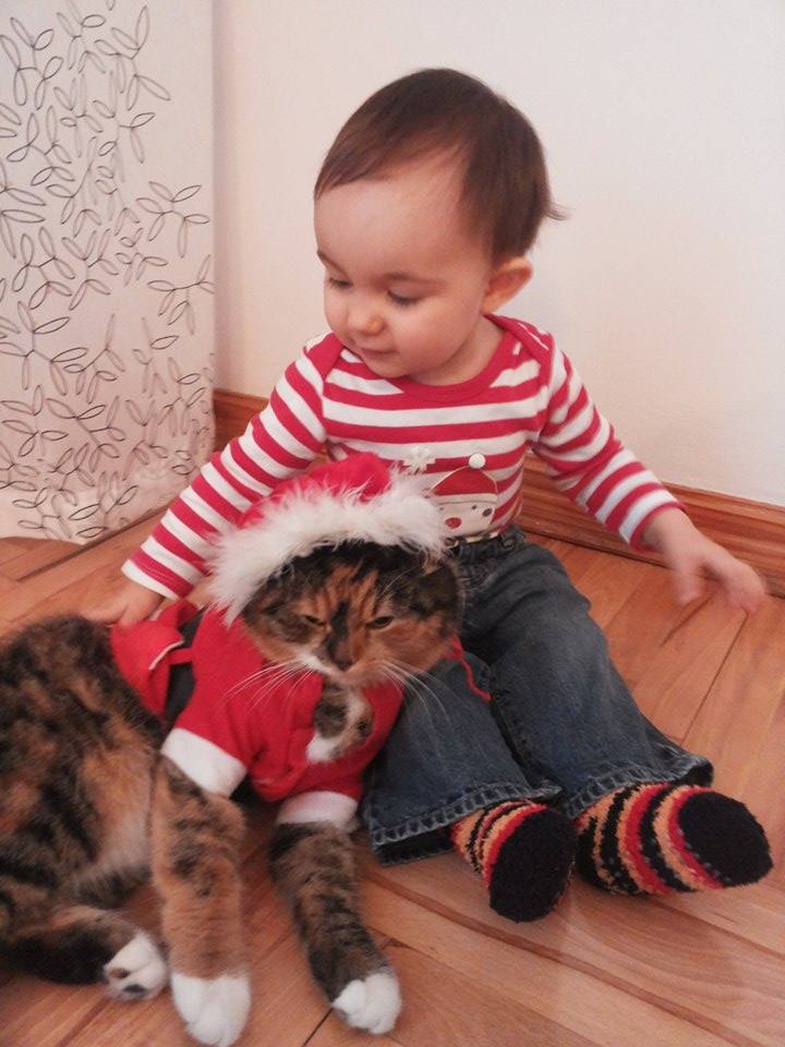 Aleksandra Bojanowska- w tym roku kot robi za mikołaja