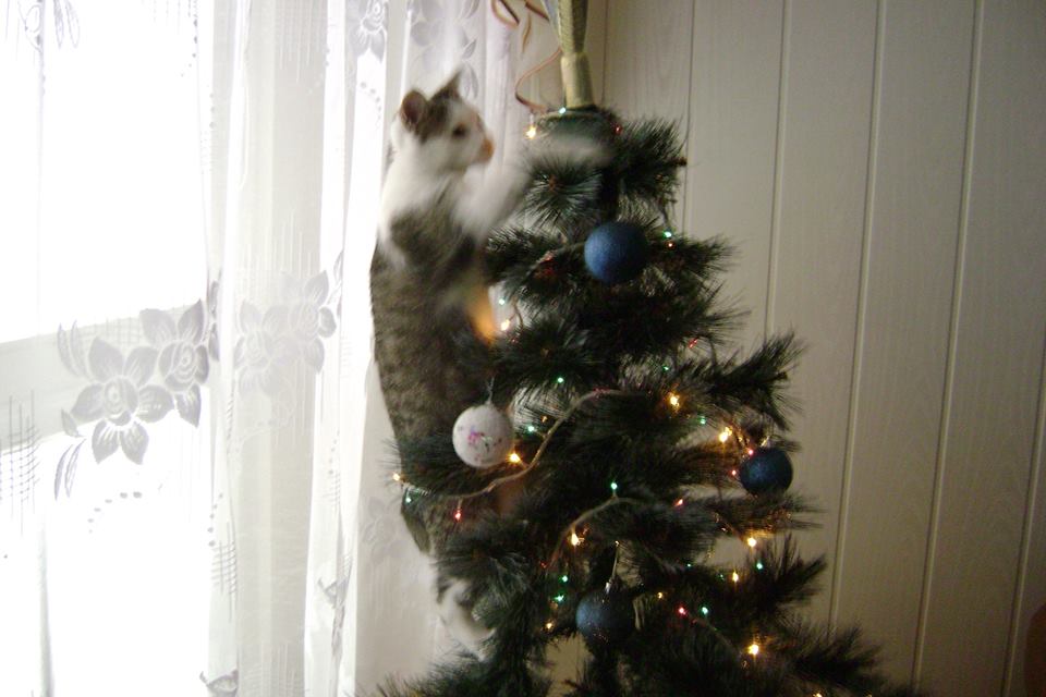 Monika - sekunde pózniej cała konstrukcja runela