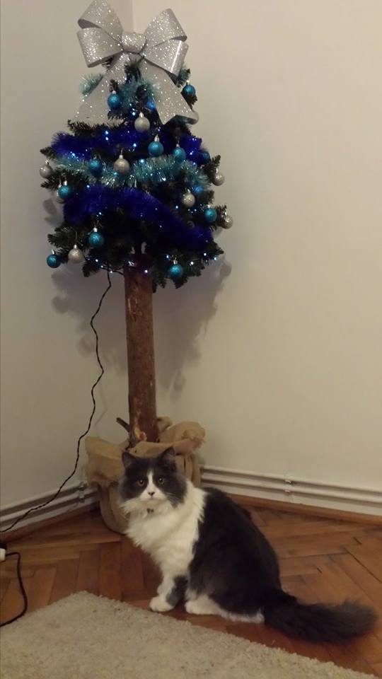 Anna Córka Ryszarda - a gdzie prezenty