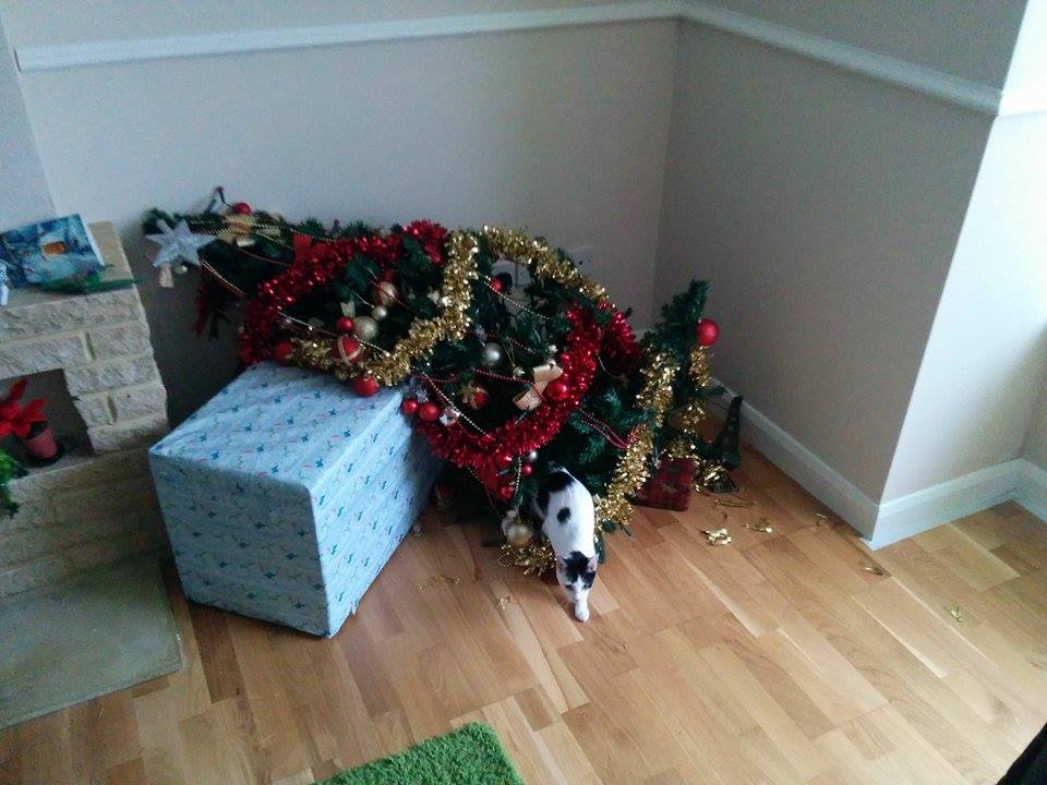 Kamil - przyłapana na gorącym uczynku