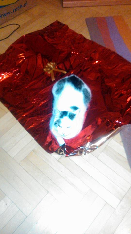 Ewelina - ja bede Twoim prezentem