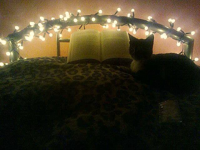 Dominika jak dla mnie magią (nie tylko świąt) jest kot+światełka+dobra książka  na zdjęciu Tosia i Dallas '63 - Stephen King (polecam).