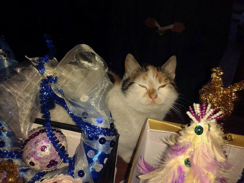 Kamila Domagała - bombki zawsze spoko