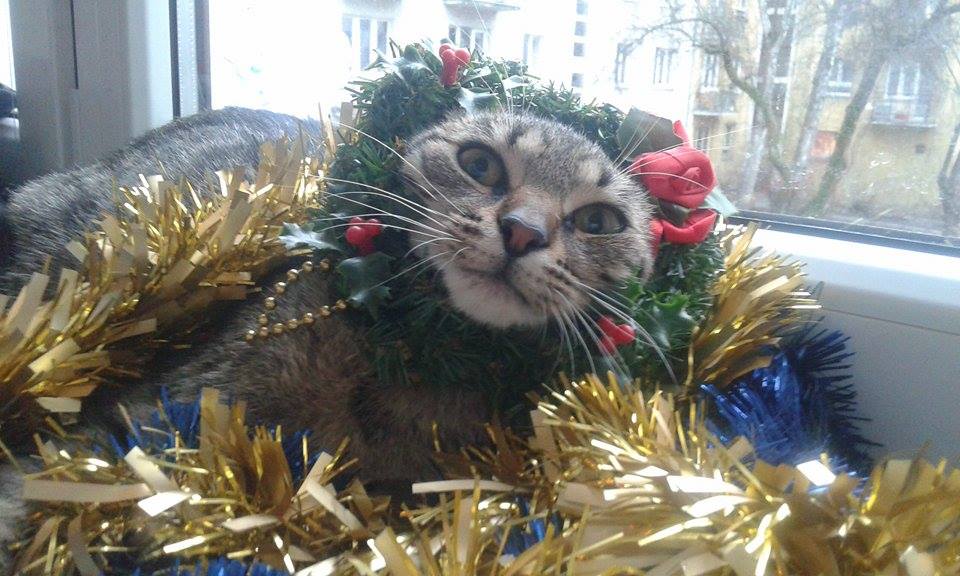 Sylwia - Świąteczna Megi