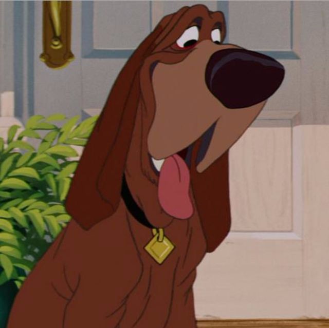 Σκύλος σκυλιά Disney 