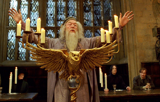 Prawdziwy Potterhead!