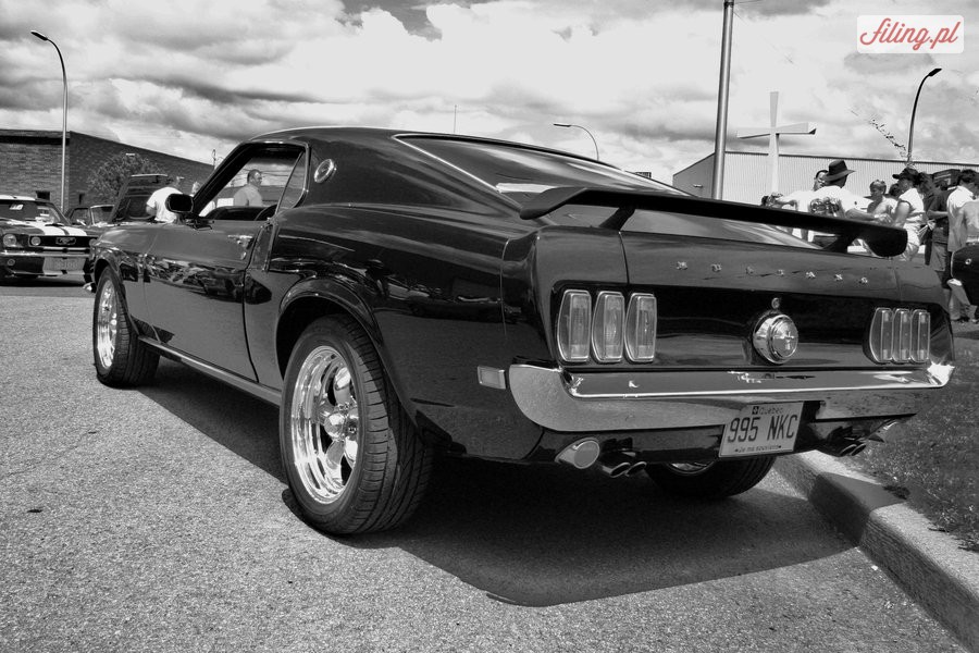 Old_School_Mustang_by_vailennitail