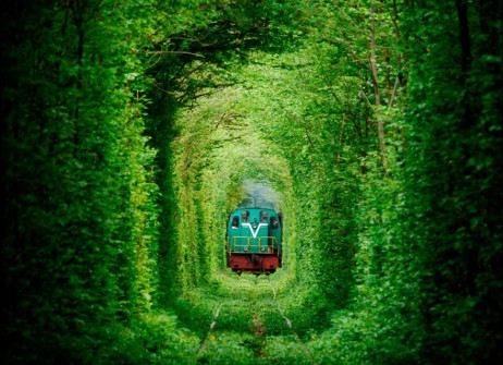 22 magiczne tunele utworzone z drzew, przez które musisz kiedyś przejść.