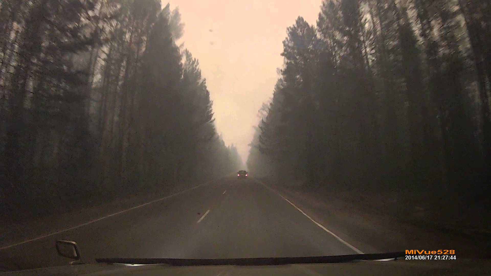 Przerażający obraz z kamery samochodu przejeżdżającego przez płonący las.