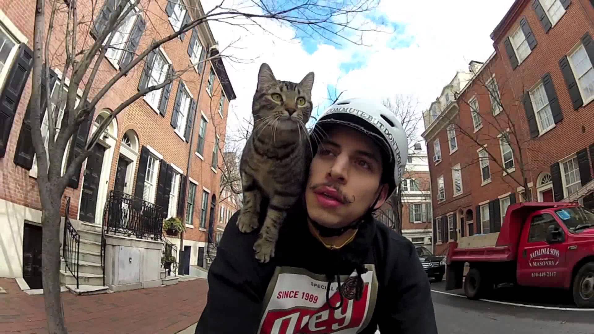 A Ty kiedy ostatni raz byłeś ze swoim kotem na wycieczce rowerowej?