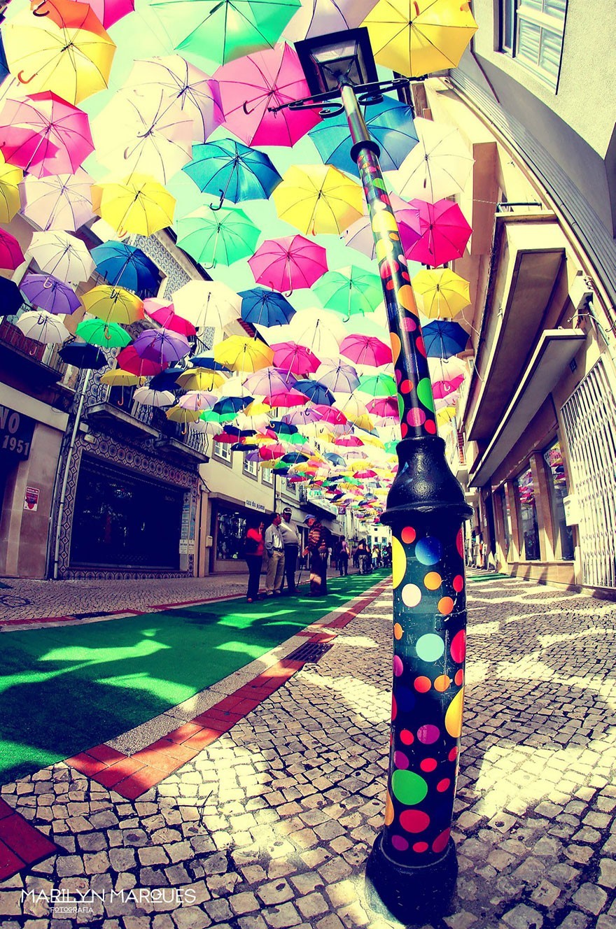 Co roku w lipcu, coś niezwykłego dzieje się na ulicach portugalskiego miasteczka. Kto by pomyślał.