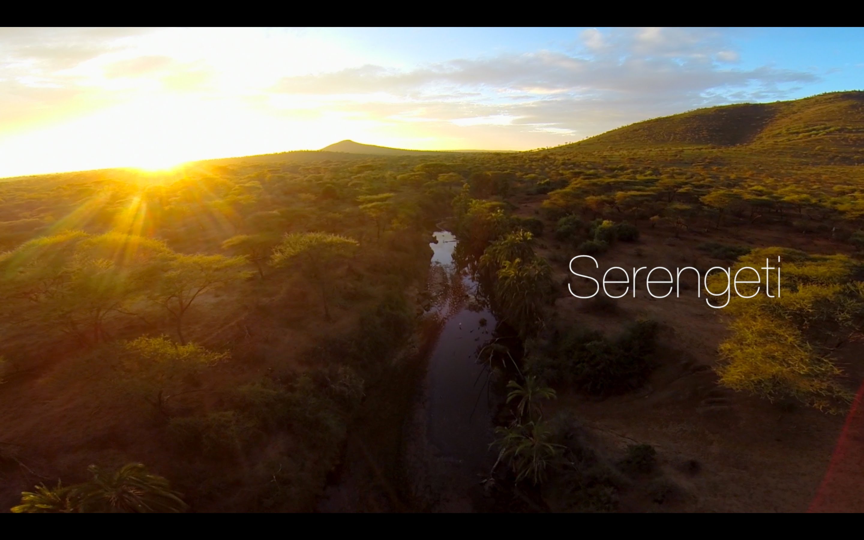 Zapierający dech w piersiach film ukazujący dzikie piękno Parku Narodowego Serengeti.