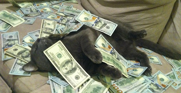 19 kotów, które mają więcej pieniędzy od Ciebie.