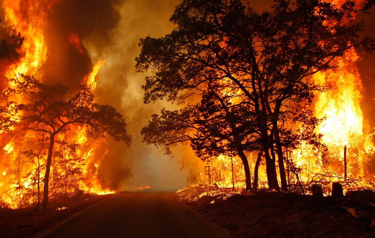 29 zdjęć udowadniających, że nigdy nie chciałbyś zobaczyć pożaru lasu na własne oczy.