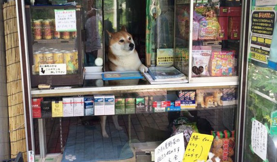 Nawet jeśli nienawidzisz papierosów, gwarantuje Ci, że ten sklep będziesz chciał odwiedzić.