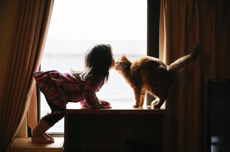 24 wzruszających zdjęć dzieci bawiących się ze swoimi kotami.