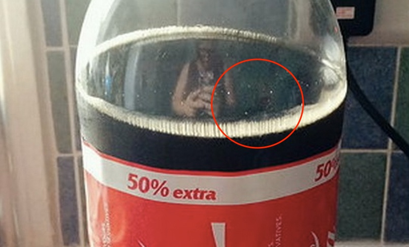 To co ta para znalazła w swojej butelce Coca-Coli jest po prostu obrzydliwe!