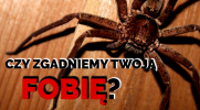 Czy zgadniemy Twoją fobię?