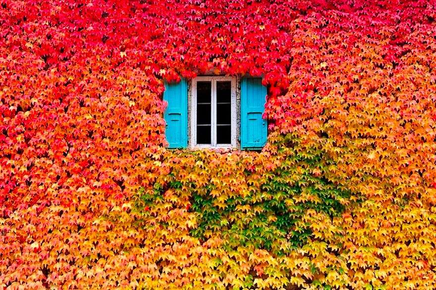 35 zdjęć udowadniających, że jesień to najbardziej kolorowa pora roku.