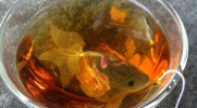 Torebka na herbatę w kształcie złotej rybki przemieni Twoją szklankę w akwarium.
