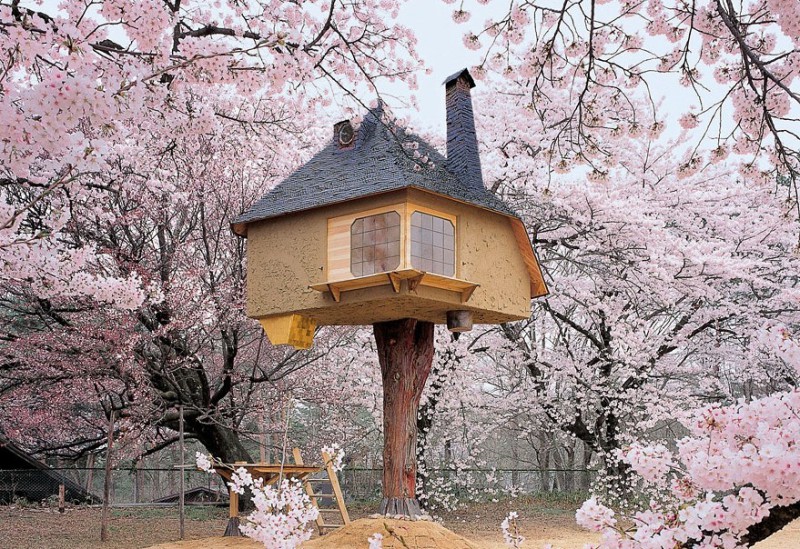 17 najbardziej niesamowitych domków na drzewie na Świecie.