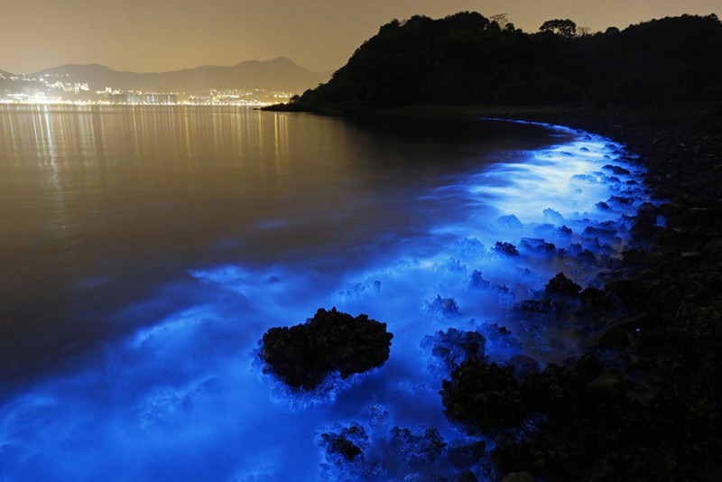 Wybrzeża Hongkongu zaświeciły się na niebiesko dzięki bioluminescencyjnemu planktonowi.