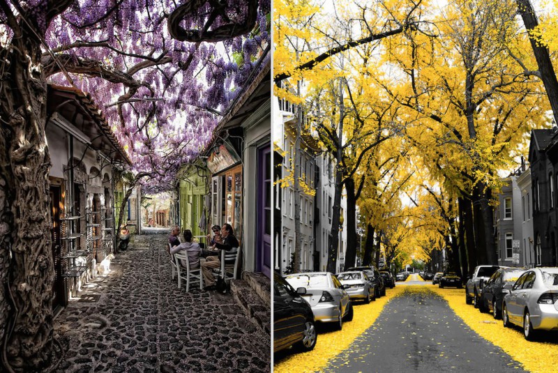 16 najbardziej magicznych uliczek zacienionych przez kwiaty i drzewa.