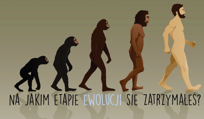 Na jakim etapie ewolucji się zatrzymałeś?