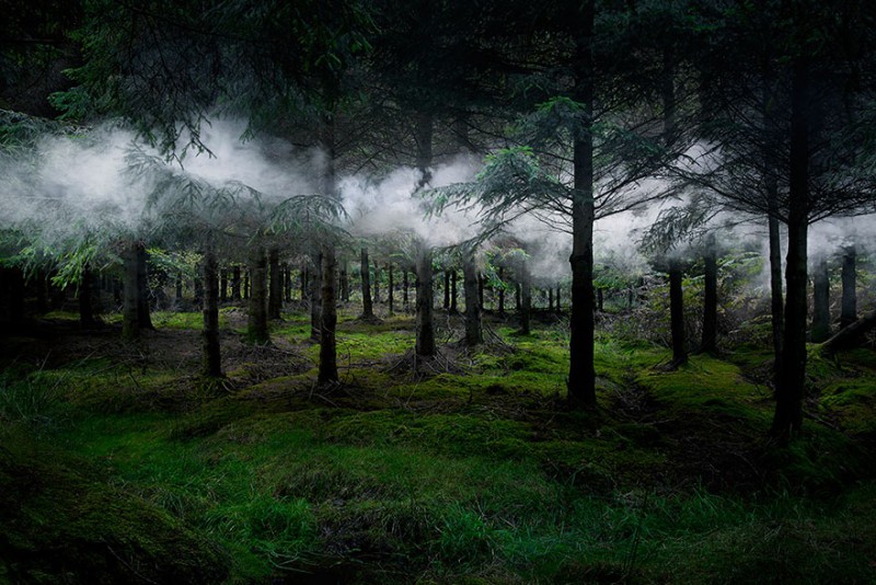 Artystka spędziła 7 lat przemieniając brytyjskie lasy w tajemnicze dzieła sztuki.