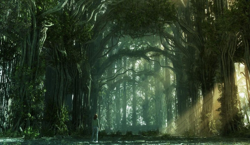 Co zrobiłbyś  w tajemniczym lesie?
