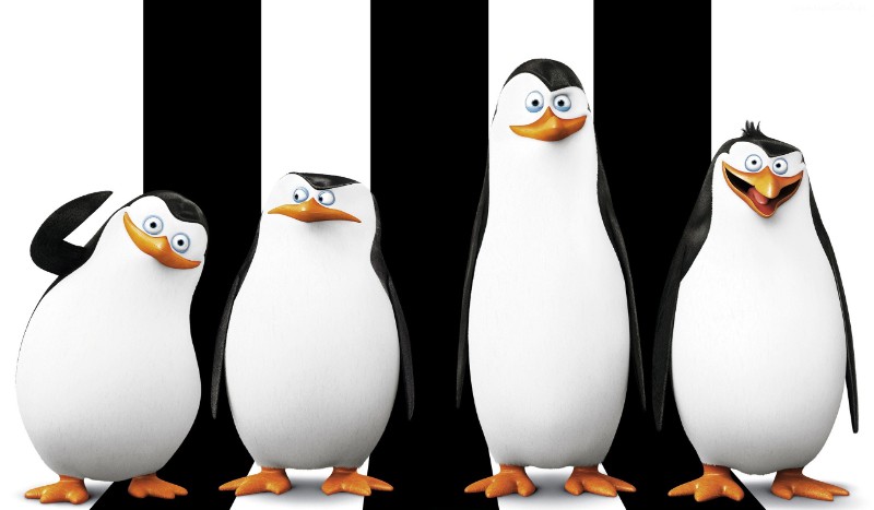 Jakim pingwinem jesteś?