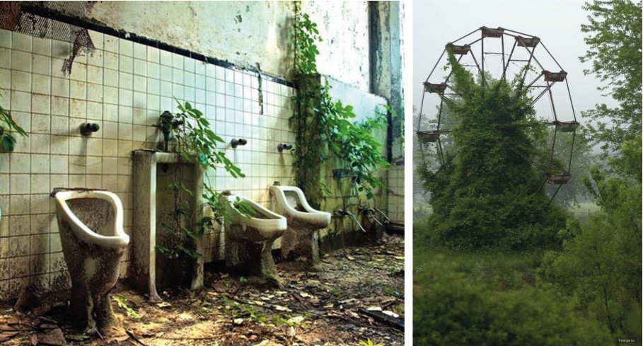 29 opuszczonych miejsc, które są dowodem na to, że natura jest najpotężniejszą siłą.