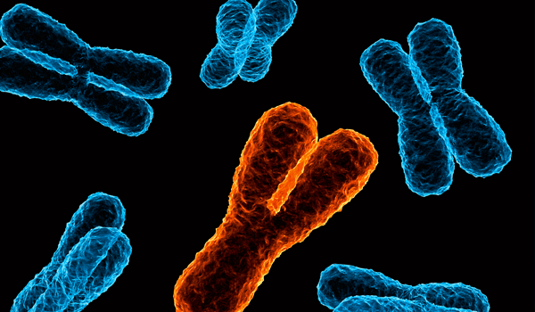 Sprawdź jak dobrze znasz podstawy biologii