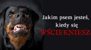 Jakim psem jesteś, kiedy się wściekniesz?