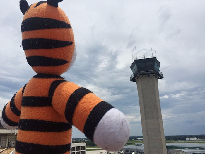Zaginiony tygrysek 6-latka przeżywa przygodę na lotnisku.