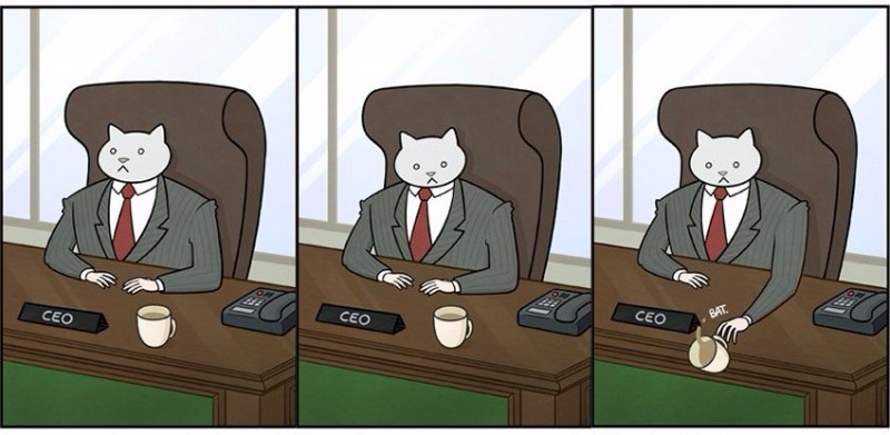 Jak wyglądałoby miejsce, w którym pracujesz, gdyby Twoim szefem został kot?