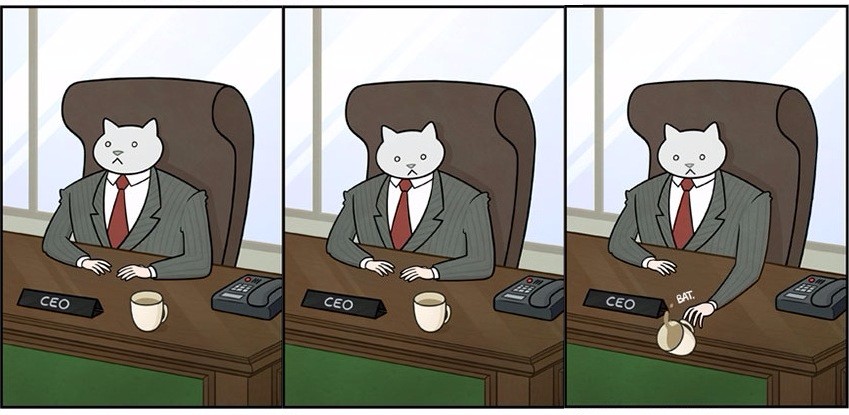 Jak wyglądałoby miejsce, w którym pracujesz, gdyby Twoim szefem został kot?