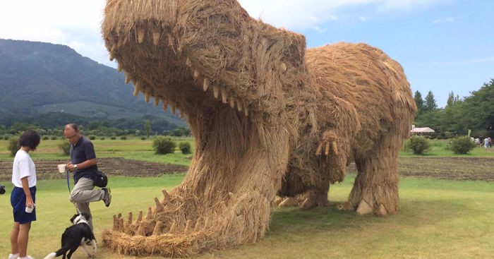 Gigantyczne, słomkowe dinozaury niespodziewanie opanowały japońskie pola ryżowe.