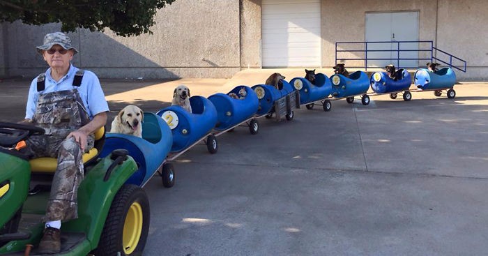 80-latek buduje kolejkę dla bezpańskich psów i zabiera je na wesołe przejażdżki.