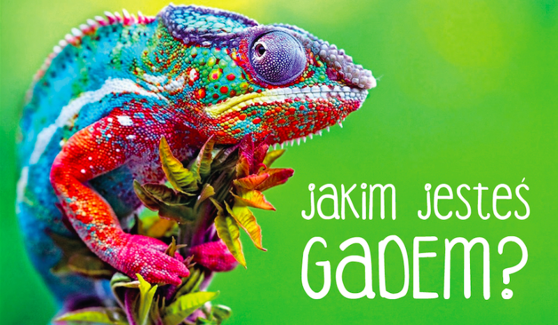 Jakim jesteś gadem?