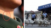 21 zadziwiających faktów na temat Chin, których prawdopodobnie nie znałeś.
