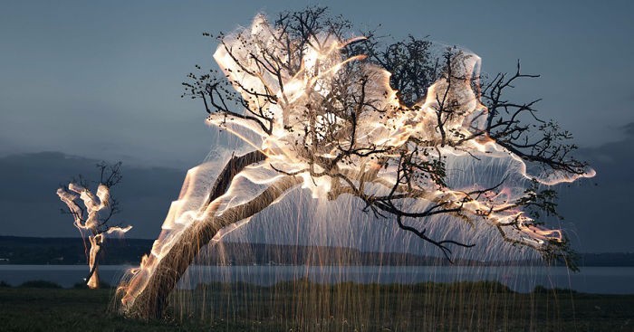 Artysta prezentuje niesamowite zdjęcia drzew oświetlonych rzęsistym deszczem świateł.